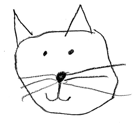 Catz Meme